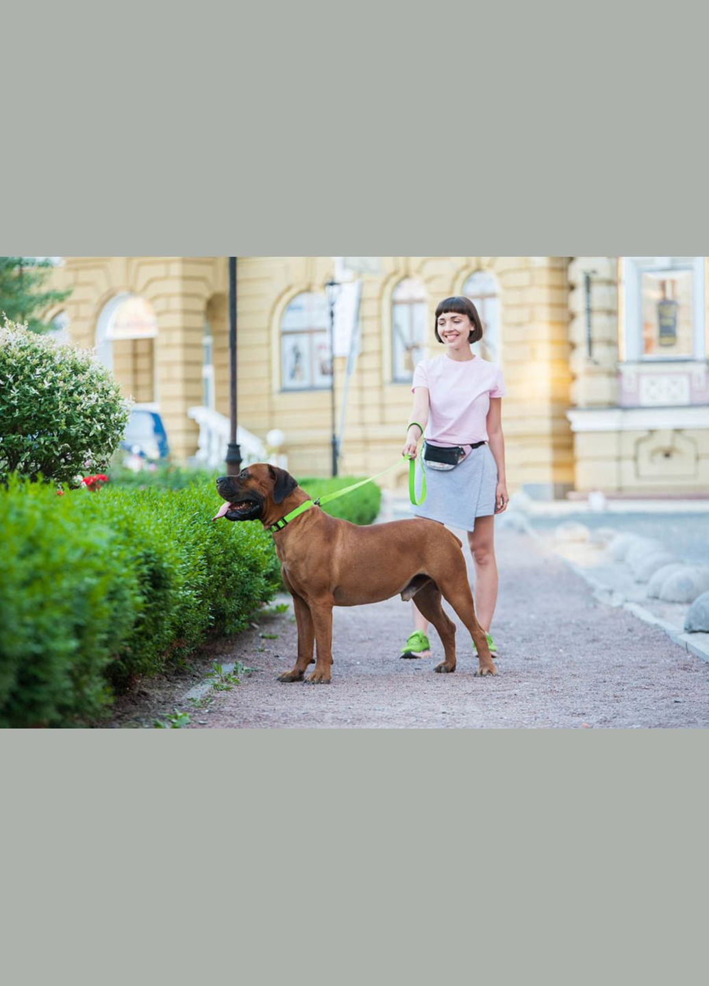 Повідець для собак водостійкий Waterproof Ш 20 мм Д 183 см Салатовий WAUDOG (322327876)