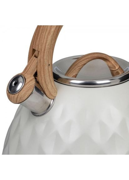 Чайник ALMAAZ 2.7 л Light Gray (90607) RESTO (326033213)