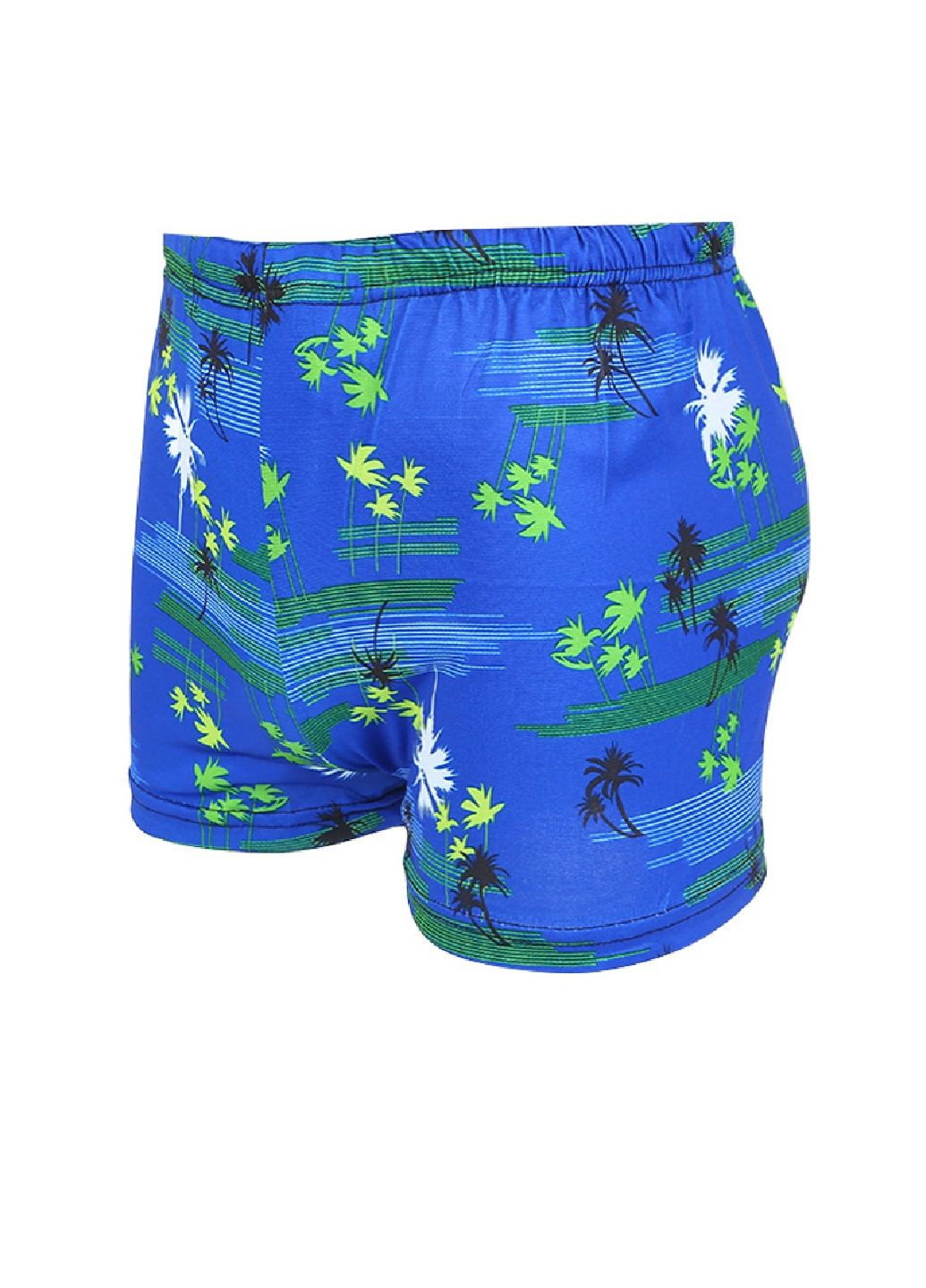Мужские синие спортивные, пляжные плавки шорты No Brand
