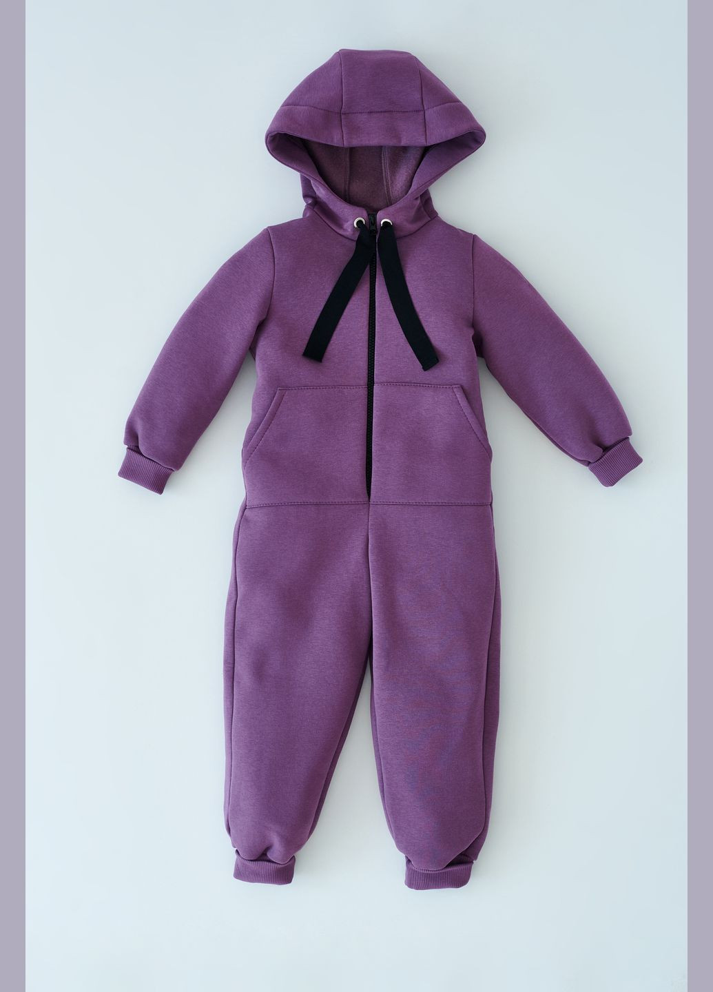Фіолетовий демісезонний комбінезон дитячий з капюшоном та флісовою підкладкою alwair kids ( 104-110) (12963) Qoopixie