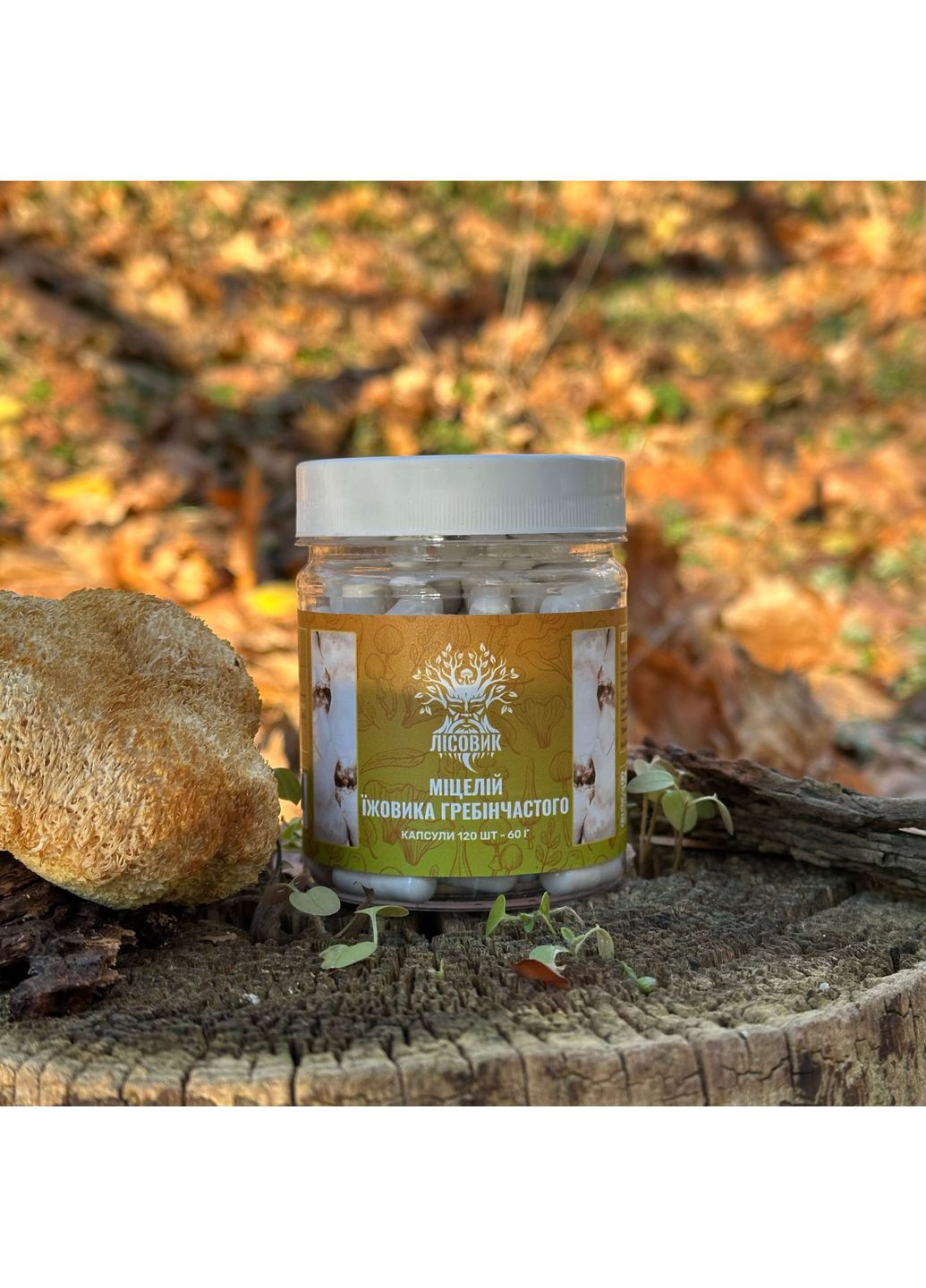 Міцелій їжовика гребінчастого у капсулах 120 шт по 0,5 г Лісовик (334711141)