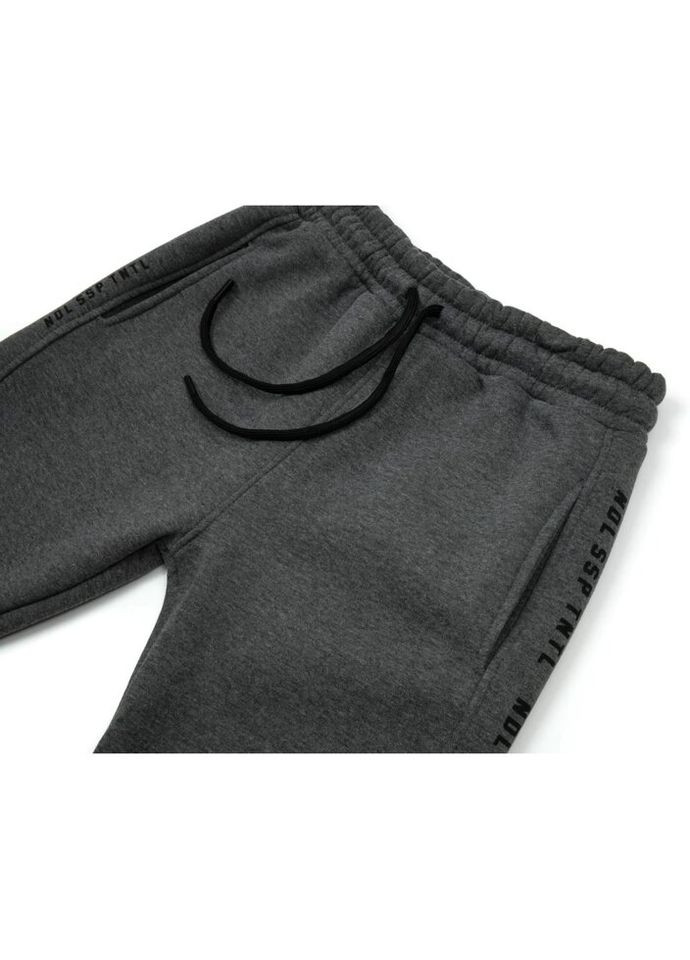 Комбинированные демисезонные брюки Joi