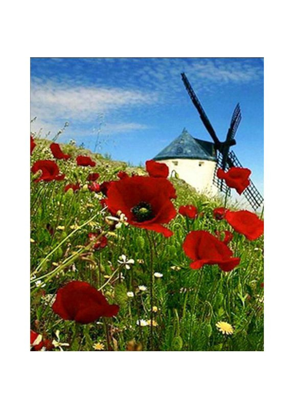 Алмазна мозаїка "Млин" HEG86061, Strateg (350197824)