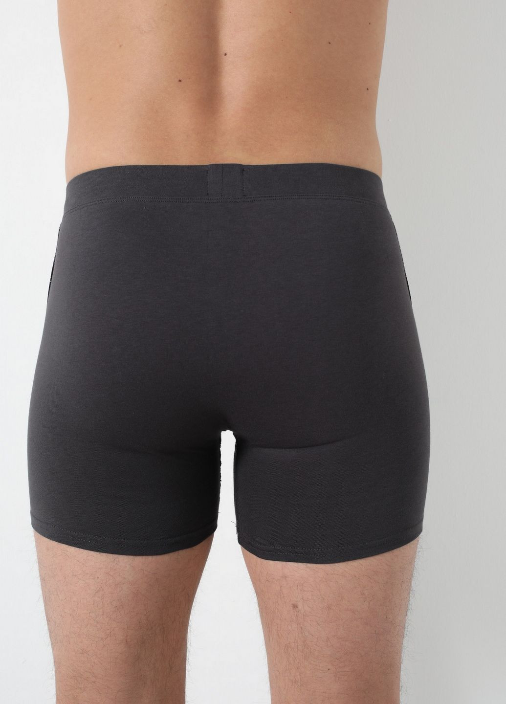 Набір трусів чоловічих шортів Sevim (313031960)