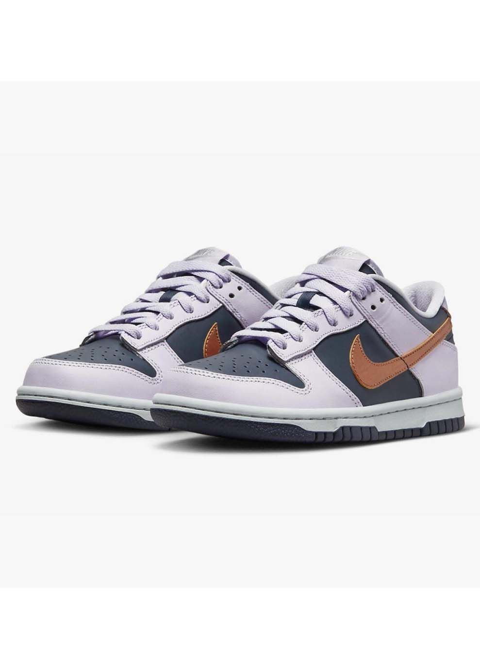 Сірі Осінні дитячі кросівки dunk low se 1 сірий Nike