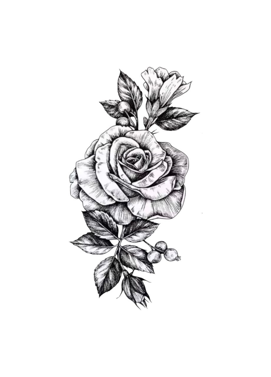 Тимчасове тату-набір Чорні троянди 5в1 21х15 см, Fine Line, контурні (LZ452) LZ (366547068)