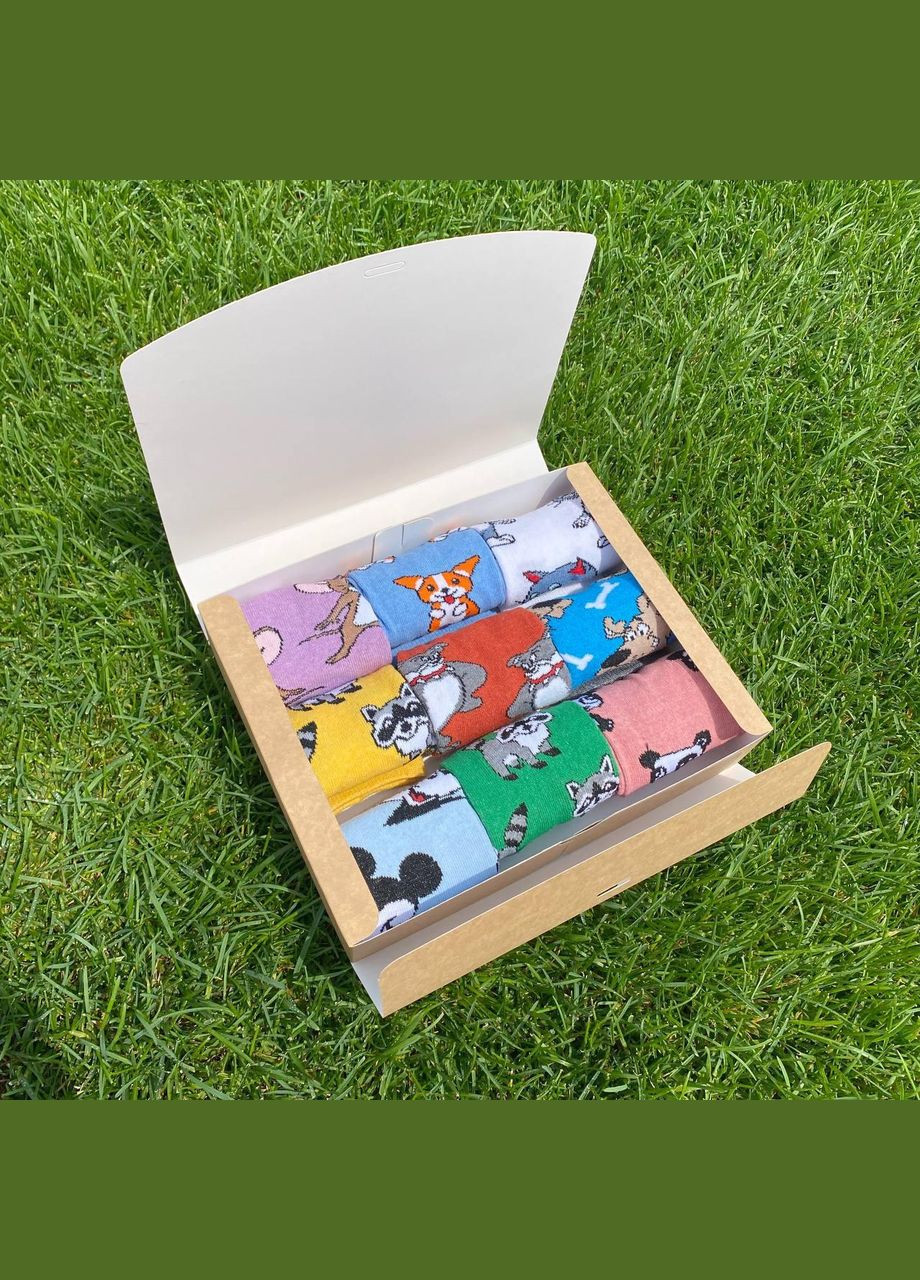 Комбіновані бокс жіночих шкарпеток 36-41 на 9 пар з мультяшним малюнком у подарунковій коробці (340108462)