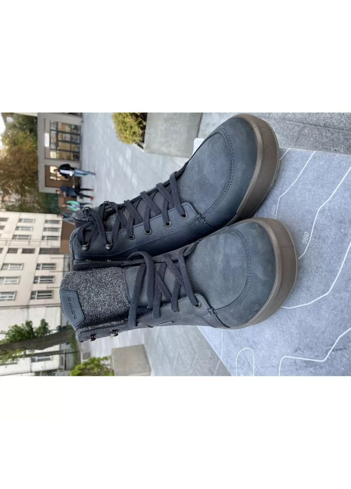 Черевики чоловічі зимові Lowa Molveno II GTX (361151706)