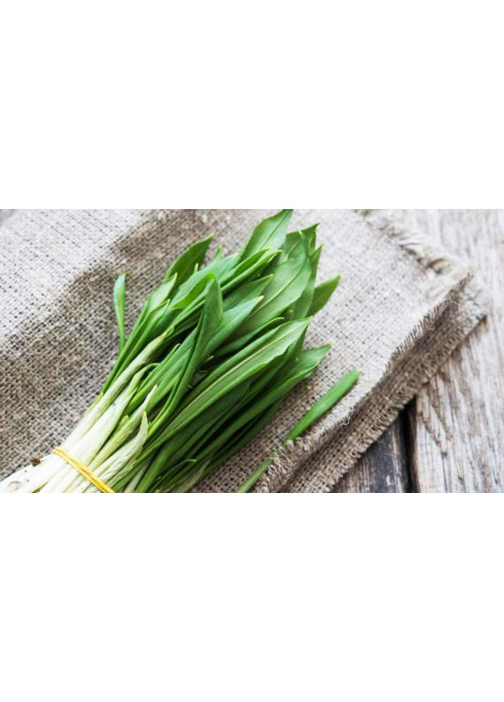 Семена пряные травы Черемша 0.2 г Насіння України (356119100)