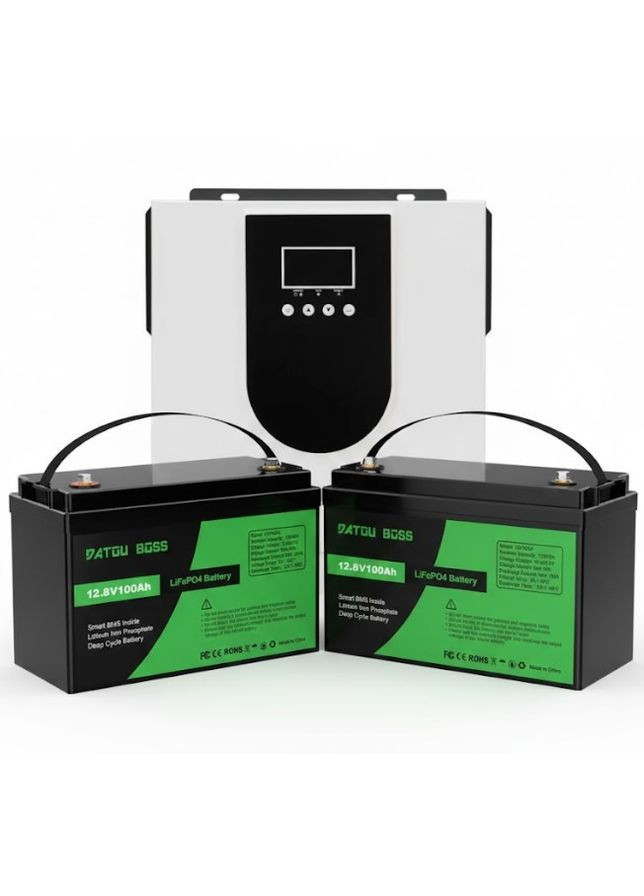 Комплект инвертор WX1254 Inverter MPPT Combination 3000w и 2 аккумулятора Datou Boss LiFePO4 100Ah (2104618905) No Brand (372466636)
