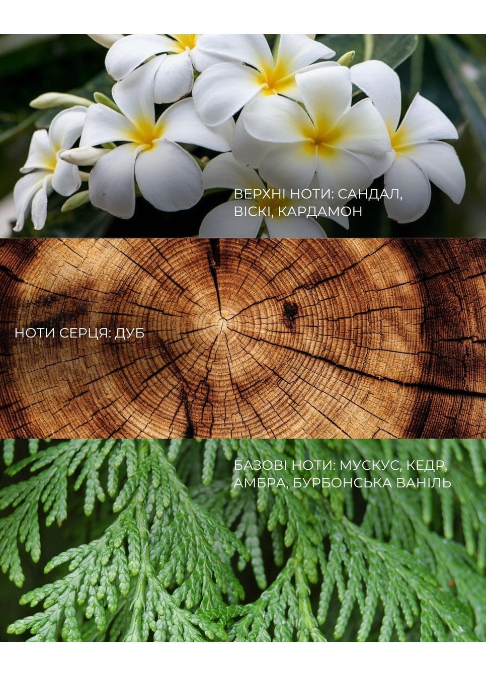 Парфумований гель для душу Santal & Whisky з Д-пантенолом трегалозою бетаїном та молочною кислотою 350 мл (608) dott очищення, зволоження (362975807)