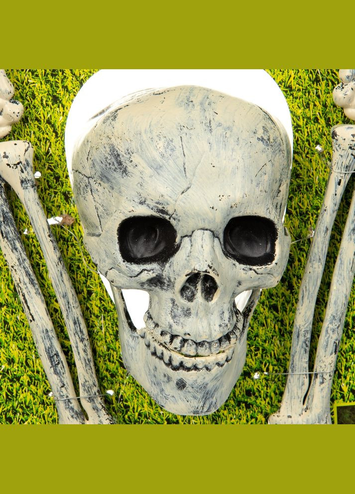 Праздничное украшение декор Halloween 18811-023 No Brand (346152443)