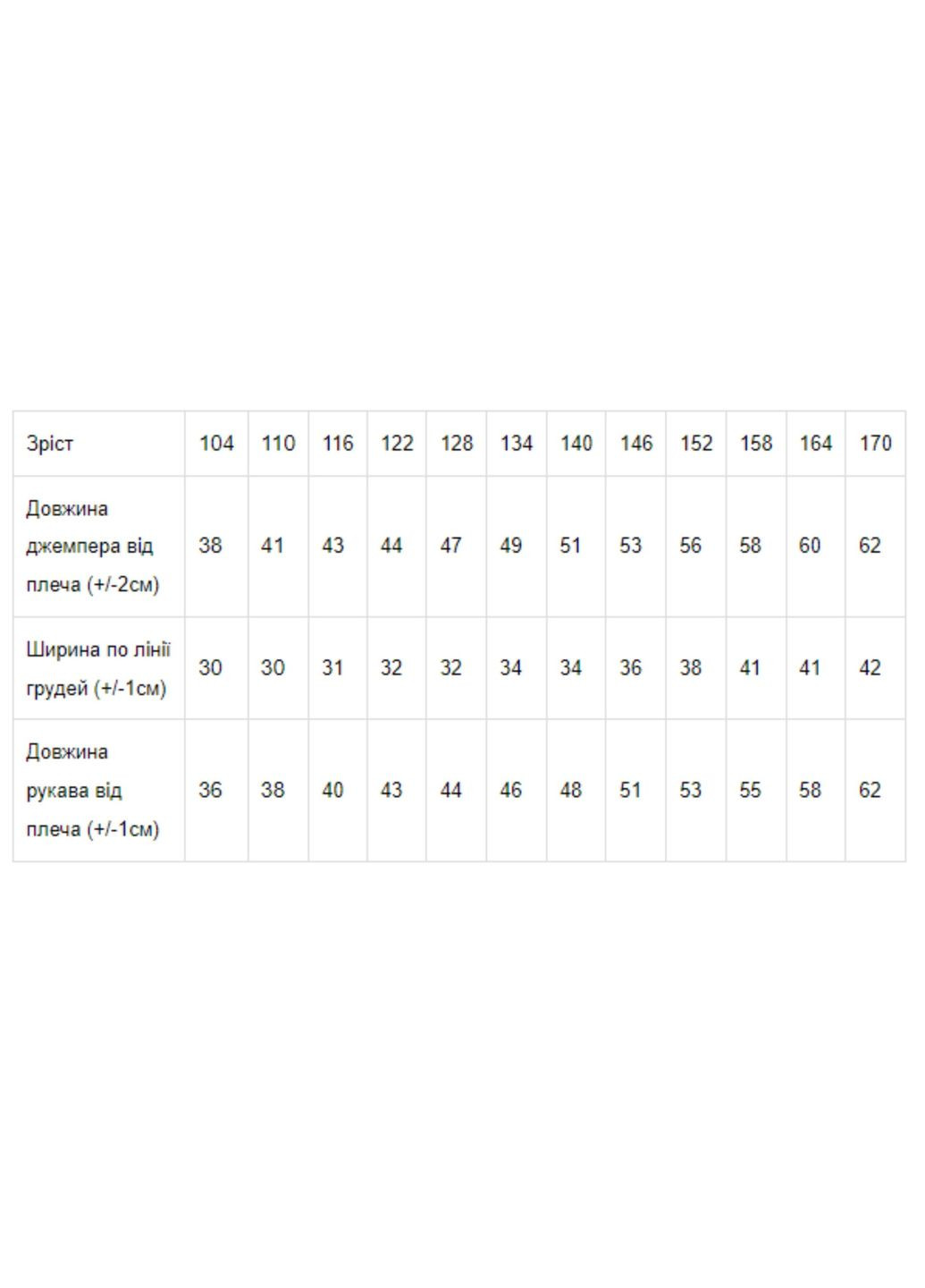 Джемпер для хлопчика Носи своє 6025-015-4 (309019342)