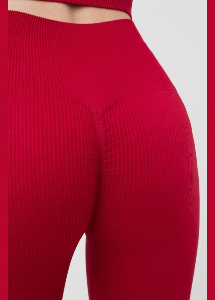 Легінси жіночі безшовні спортивні в рубчик Giulia LEGGINGS RIB (301384708)