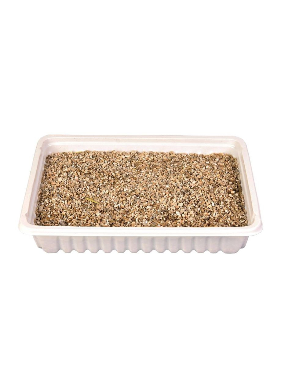 Трава для кішок з насінням ячменю контейнер 100 г (4011905042350) Trixie (279563211)