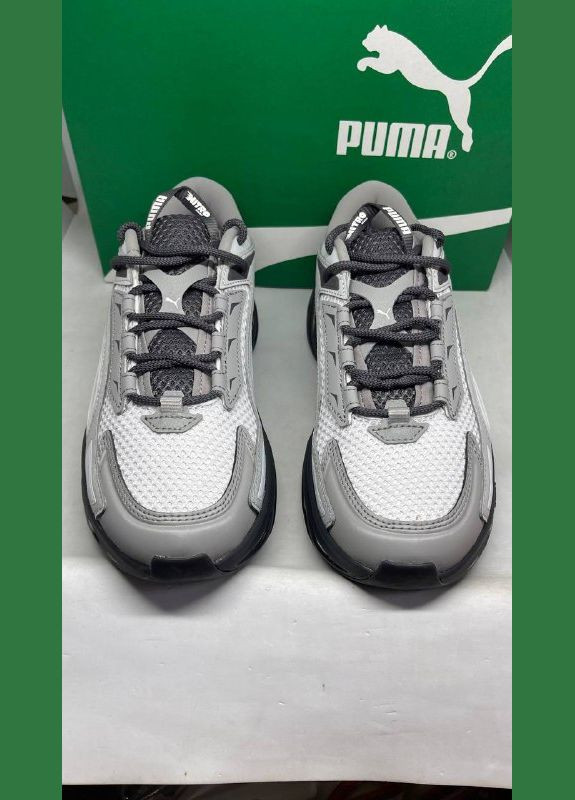 Сірі кросівки чоловічі Puma EXOTEK BASE