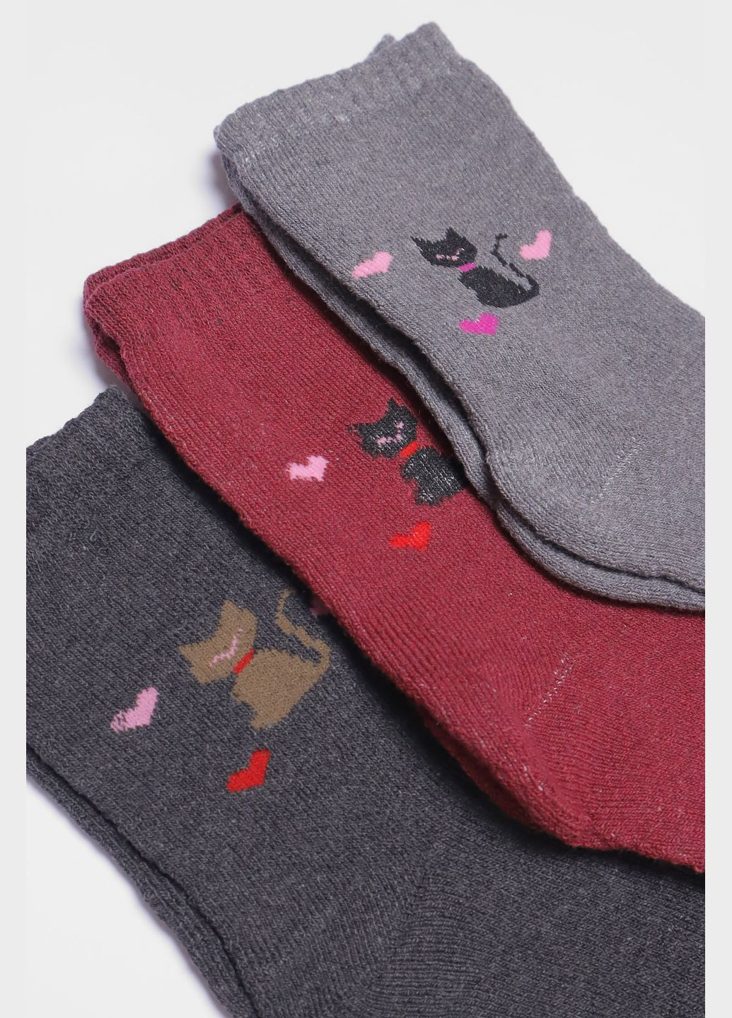 Комбіновані набір шкарпеток жіночих махрових 3 штуки Let's Shop малюнки (304609741)