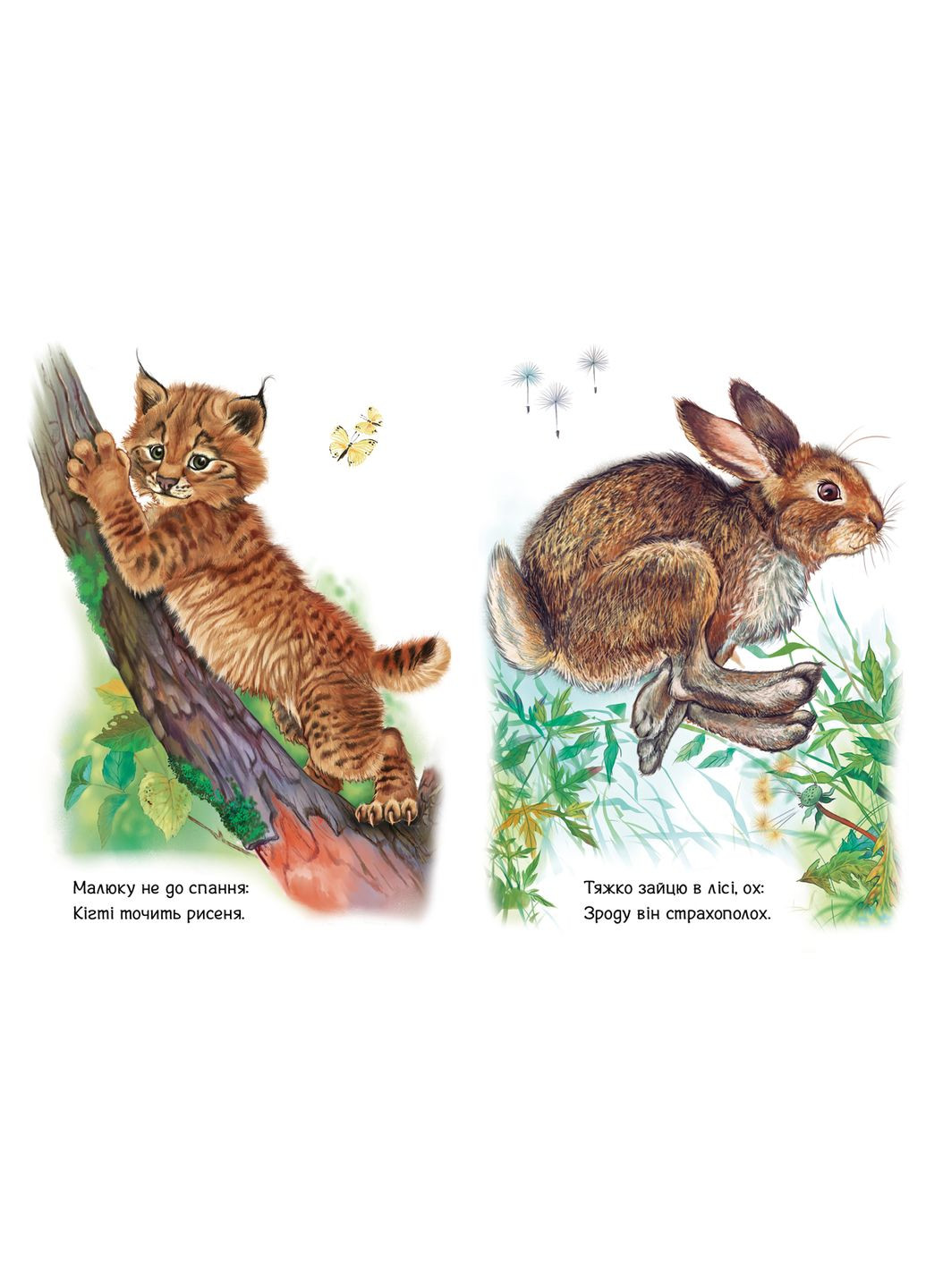 Малышам о зверушках, сборник: Лесные зверята (9786170978752) РАНОК (316080585)