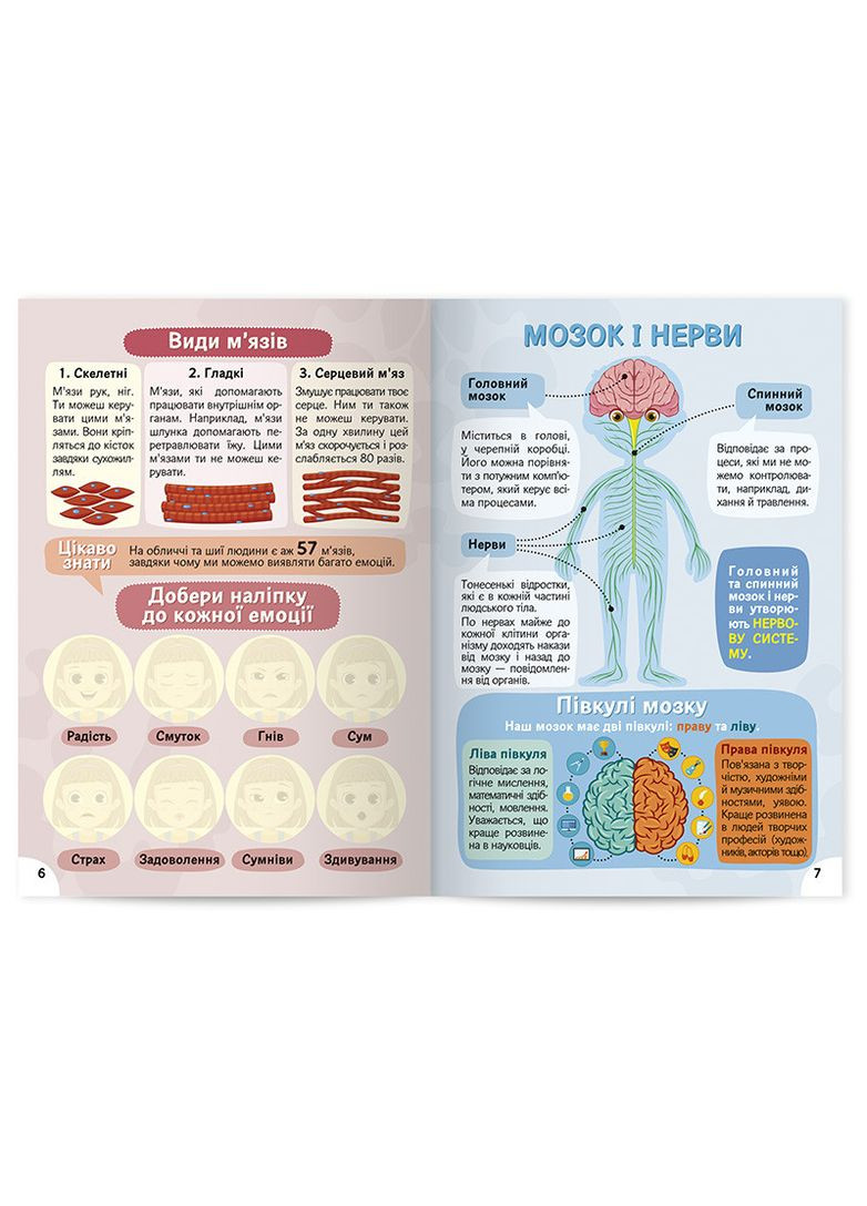 Изучаем строение тела 6+ No Brand (359374900)