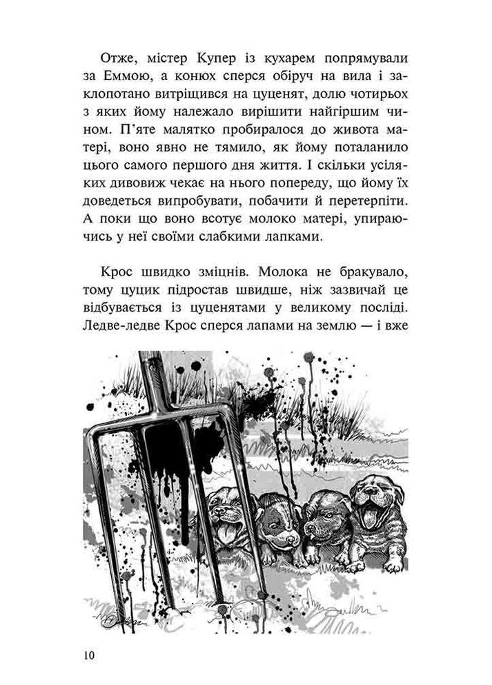 Приключения Мистера Кросса. Невероятное путешествие собаки-путешественника АССА (370058997)
