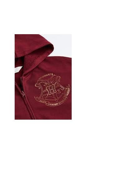 ТОЛСТІВКА ВІЛЬНОГО КРОЮ З ПРИНТОМ НА блискавці для дівчинки 158/164см(12-14р) бордовий H&M (369970585)