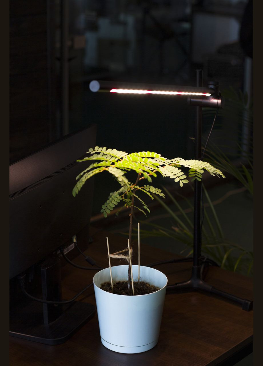 Фітолампа для рослин, квітів, орхідей, розсади, мікрозелені - фітосвітильник повного спектру Vitalio Metaplant (346534025)