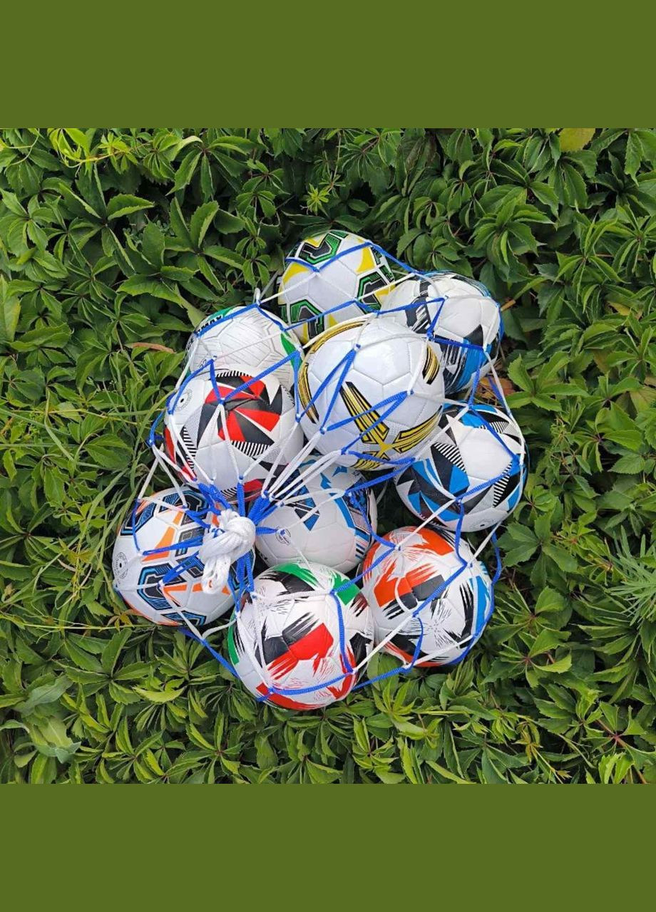 Сетка для переноски и хранения мячей бело-синяя 30-001-B-W SNS (331171828)