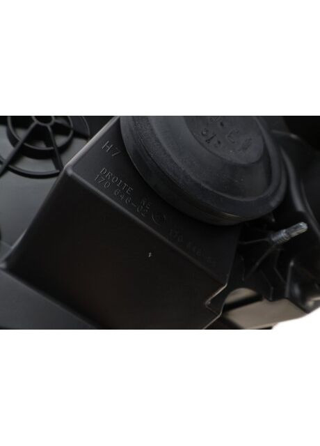 Ліхтар Renault (347158067)