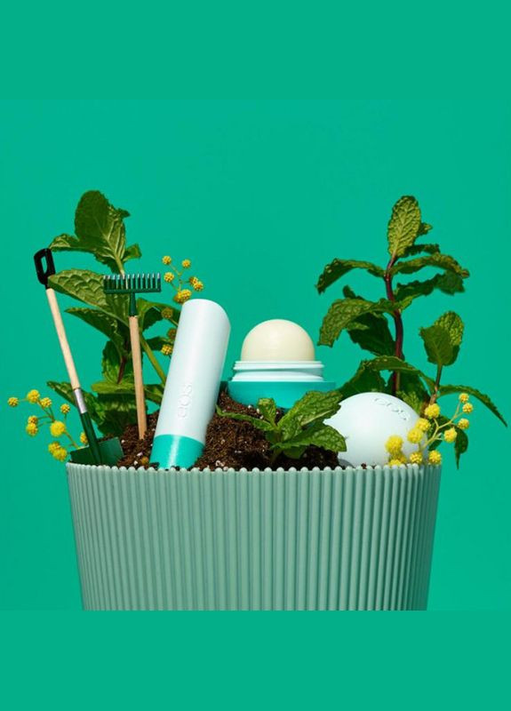 Бальзам для губ у стику Lip Balm Garden Mint flavor Садова м'ята (4 г) EOS (278773636)