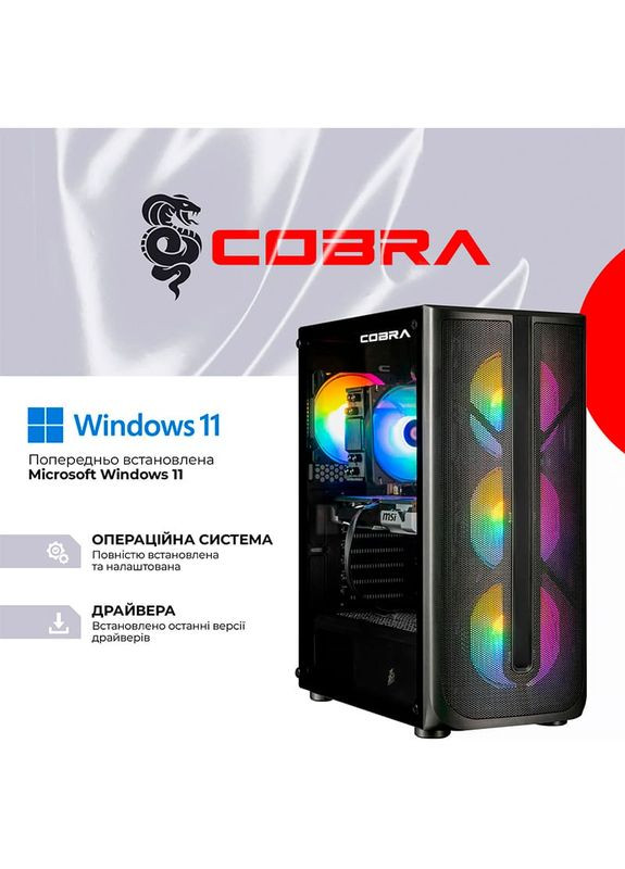 Комп'ютер Advanced (A87F.64.H1S2.96XT.22989W) Cobra (368902324)