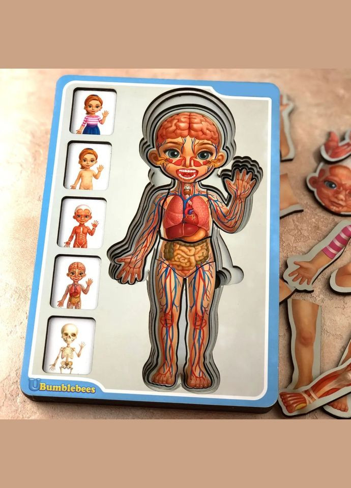 Дерев'яний пазл-вкладиш "Анатомія людини – дівчинка" Ubumblebees (ПСФ025) PSF025 будова тіла No Brand (321964030)