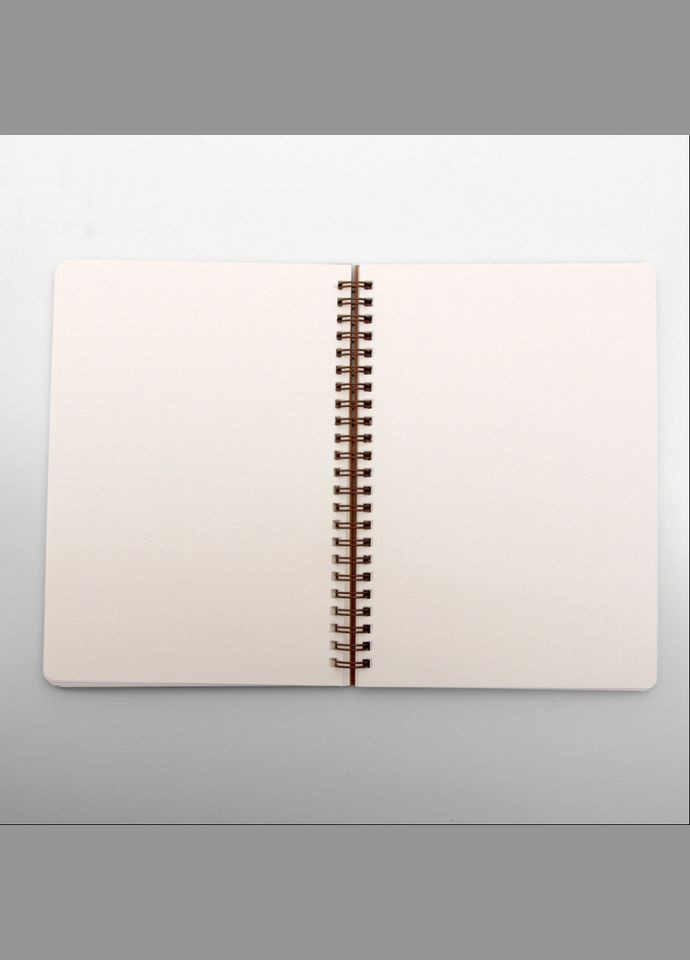 Блокнот "Доге" еко крафт-картон 11123-Т-KR формат А5 на пружині Kiri sketch (301086344)