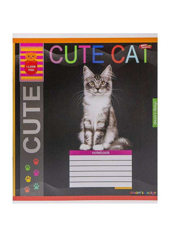 Тетрадь 12_л. клетка "МЕЧТЫ" / Серый котик Мрії Збуваються (342415622)