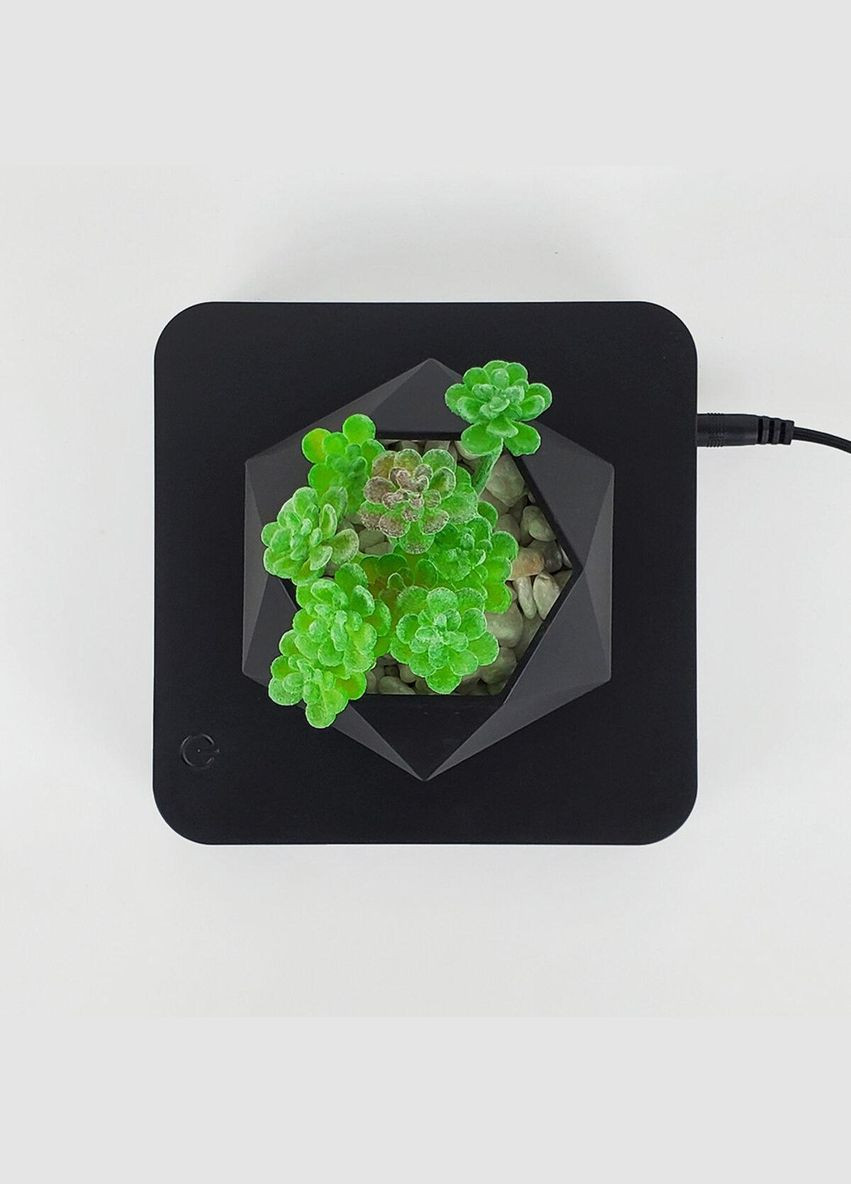 Магнитный левитирующий горшок для растений HCNT Magnetic Levitating Pot M10-GW4 Black No Brand (340405022)