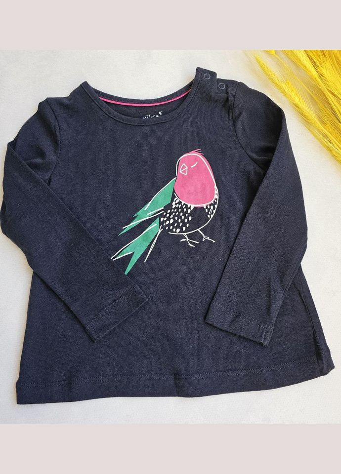 Набір реглан-лонгслів для дівчаток Lupilu Лонгслів (337168379)