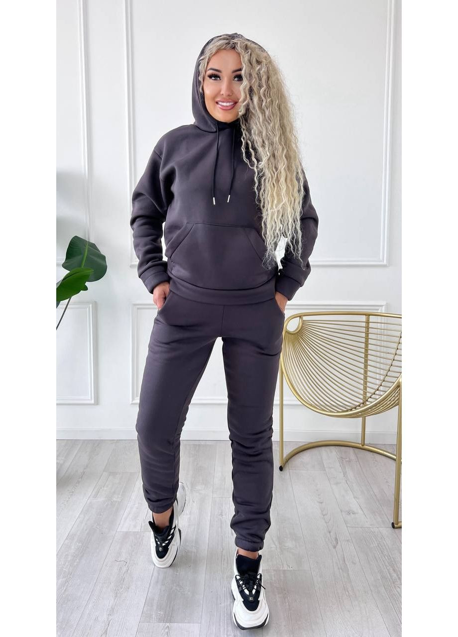 Костюм2-ка двійка тринитка на флісі худі з капюшоном та штани Джогери Україна (364653082)