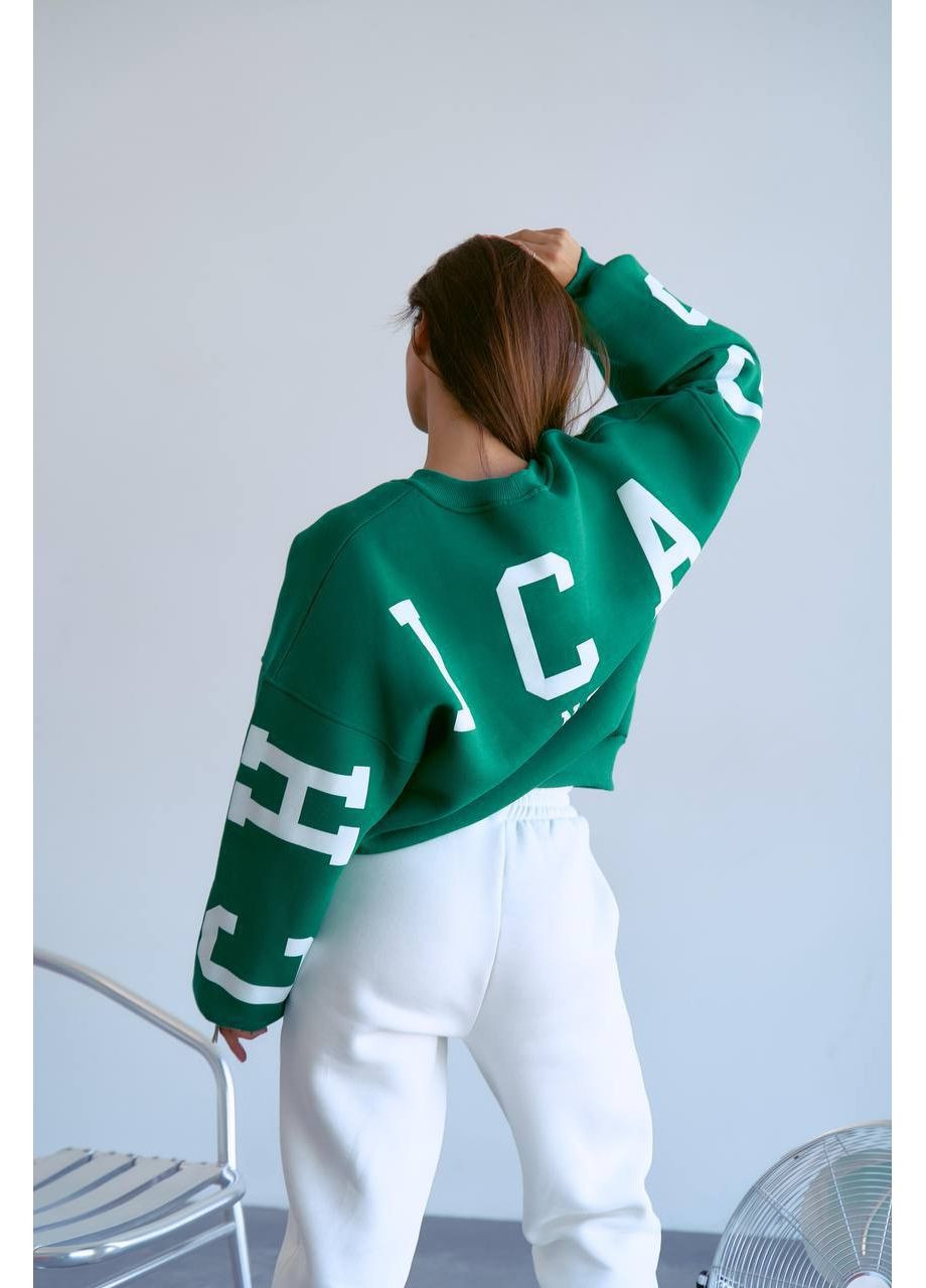 Зеленый свитшот женский — замер в описании DK/DL Мода без кордонів абстрактный без декора (366527058)