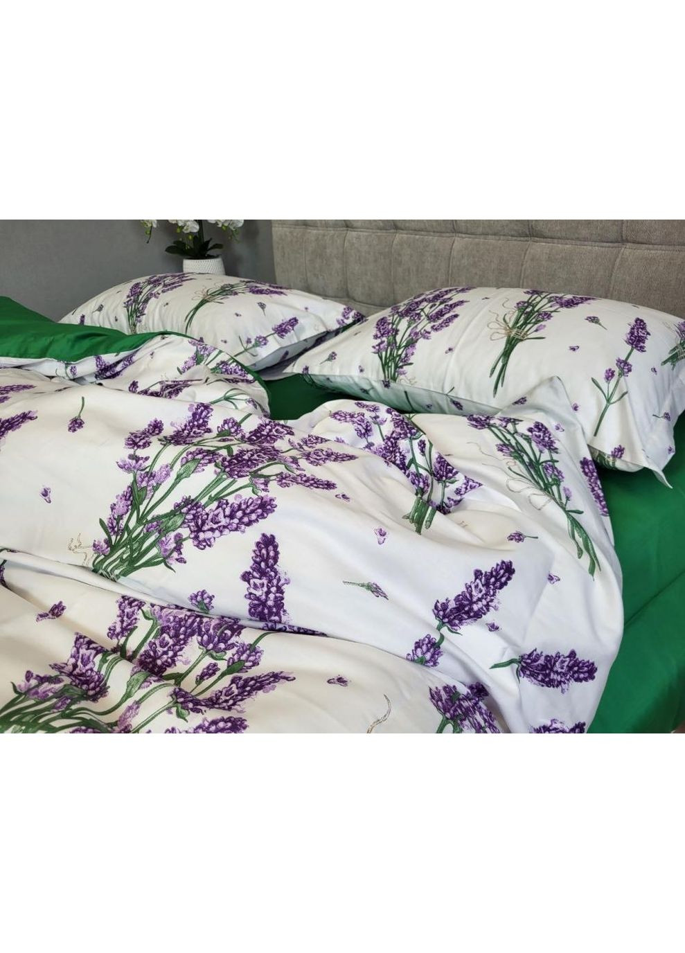 Постельное белье LAVENDER GREEN, сатин PREMIUM Семейный размер, наволочки 70/70 No Brand (364218270)