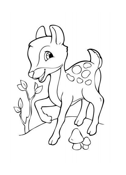 Детская раскраска "Посмотри и раскрась: Зверюшки" 628008 Ranok Creative (365642109)