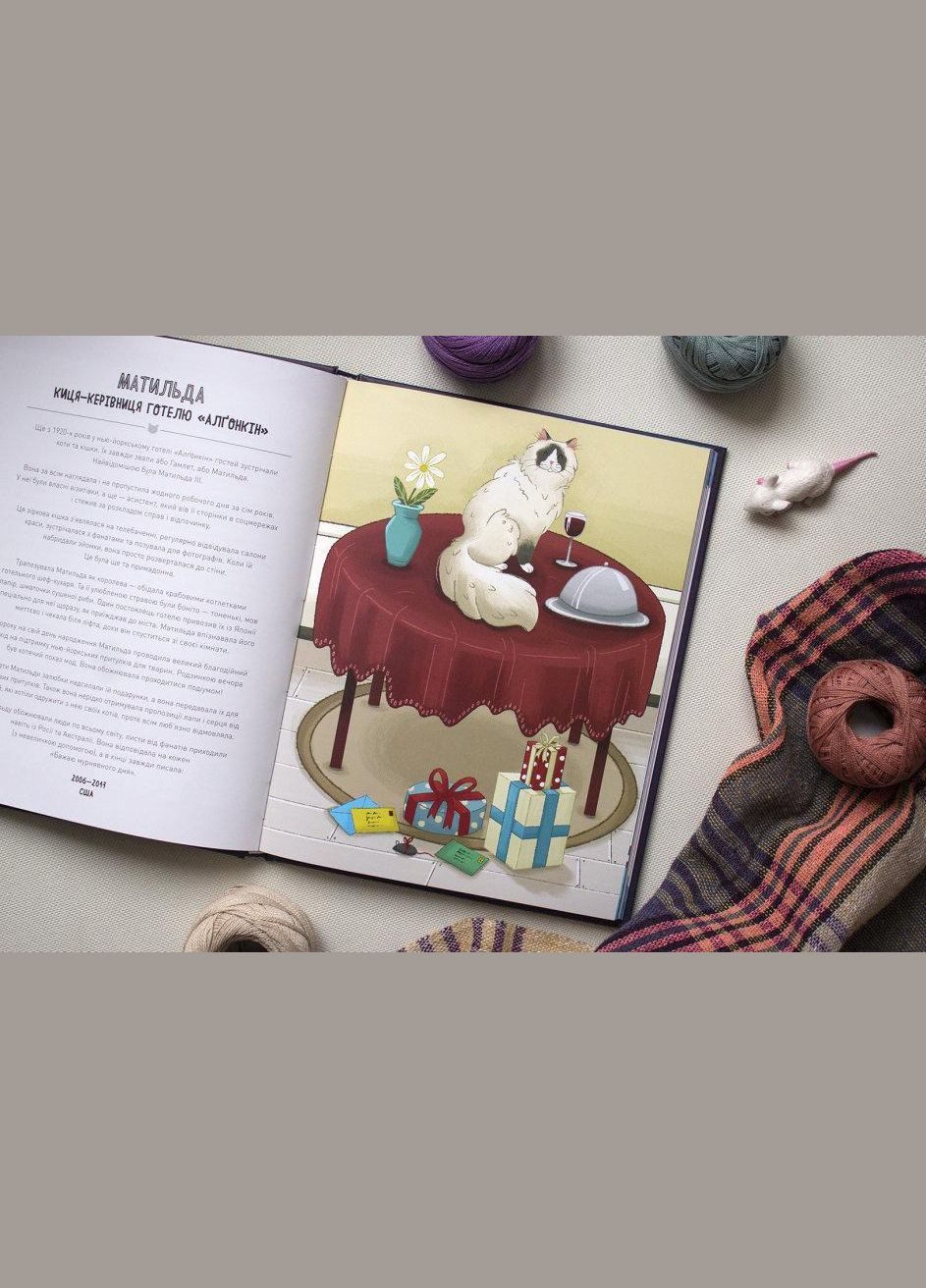 Коти-відчайдухи. Зухвалі байки про хоробрих хвостатих, Кімберлі Гамільтон, книги для дітей, Дитяча література,, укр Жорж (312507745)