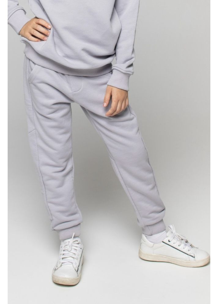 Серые демисезонные брюки Ginger Cat