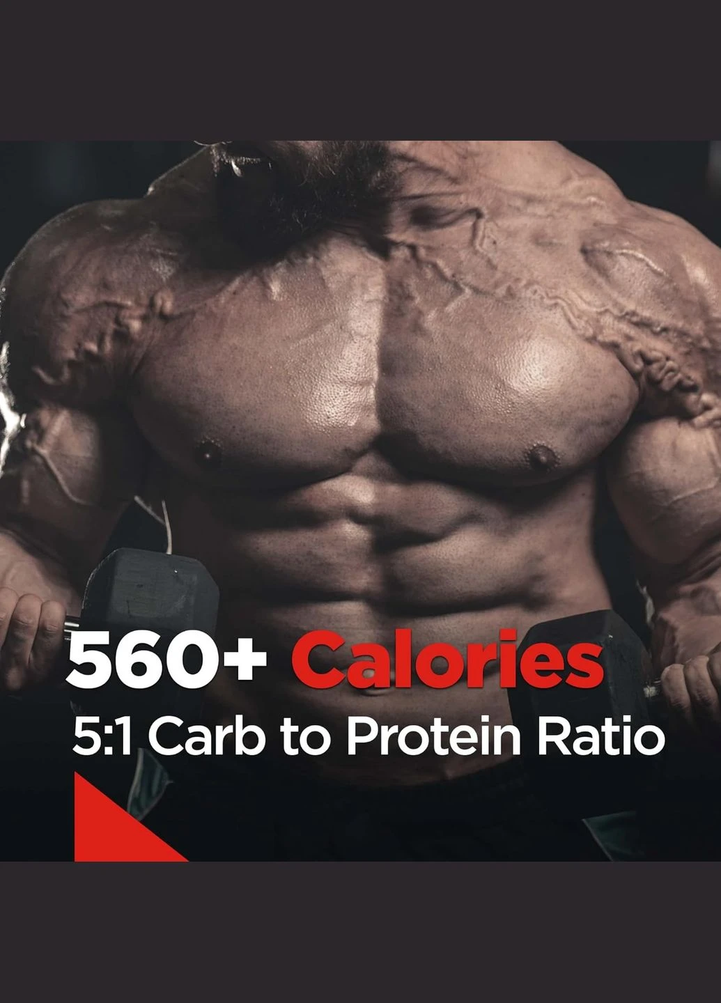Гейнер Mass Gainer (1/5 Serving) 65 г, Chocolate Fudge Rule One (311281664)
