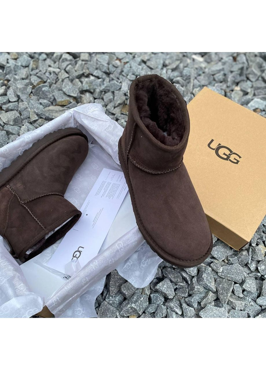 Угі Жіночі UGG Classic Mini II (Замша) (366320681)