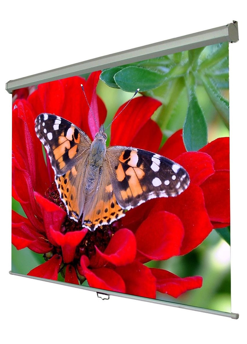 Экран настенный ручной 120" SNM4 (183*244, 4:3) Walfix (314833407)