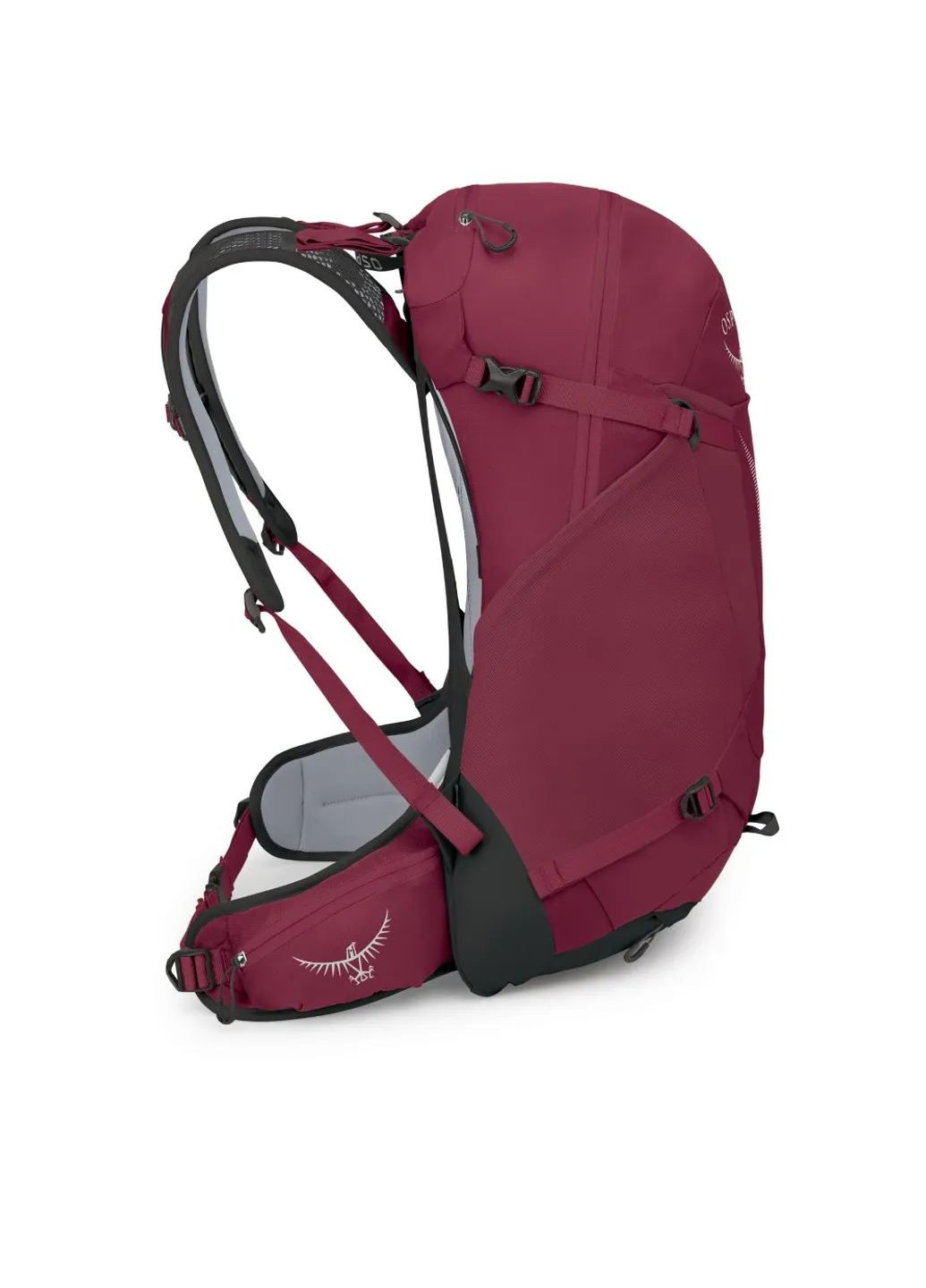 Рюкзак Hikelite 28 Osprey (354698011)