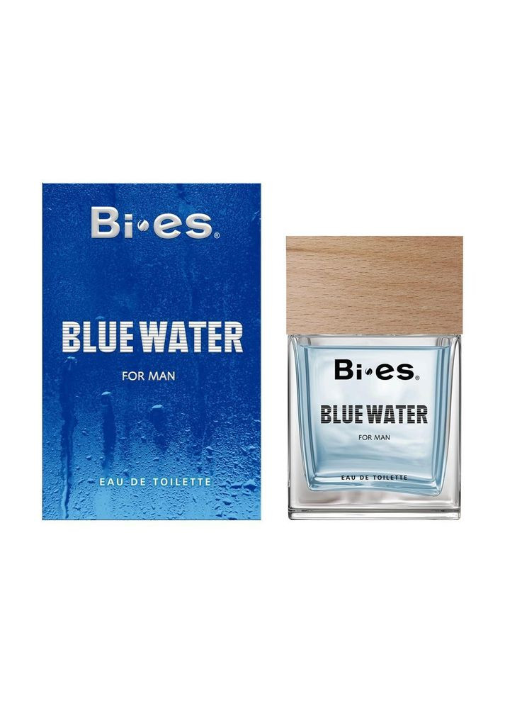 Туалетная вода мужская Blue Water 100 мл Биес Блу вотер Bi-Es (317273022)