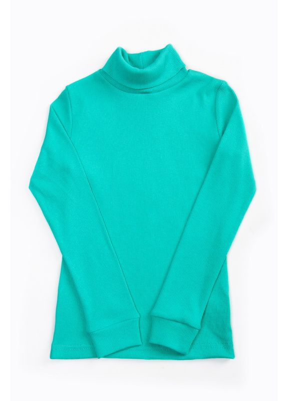 Светло-зеленый демисезонный водолазка для девочек 04-1129-18д 98 см светло-розовый Авекстекс