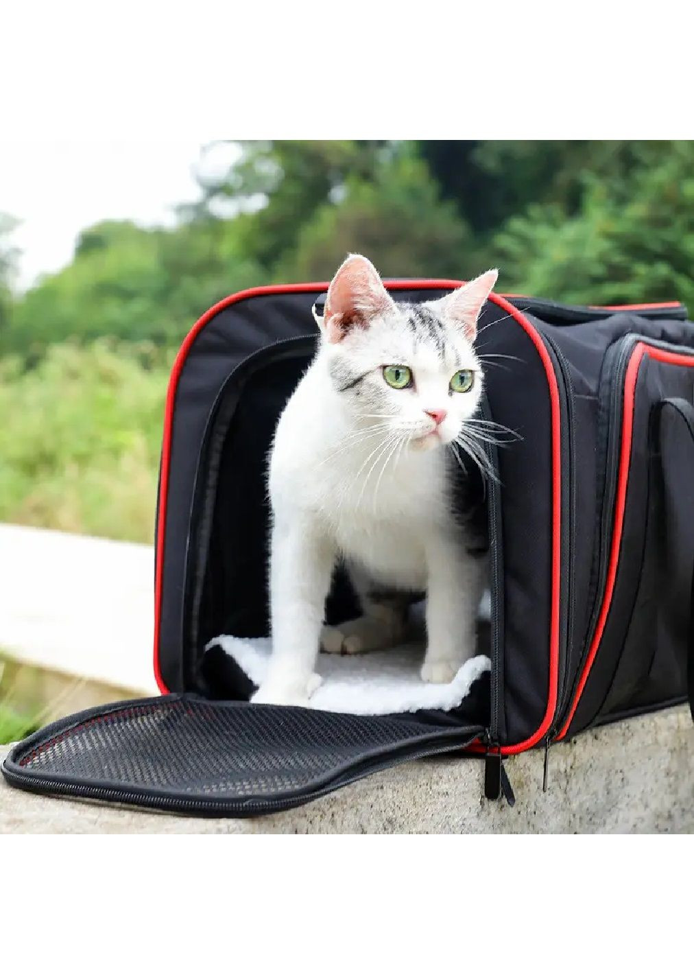 Сумка переноска для транспортування тварин котів собак з вентиляцією 76x42x29 см розмір S (477342-Prob) Чорна з червоним Unbranded (299193463)