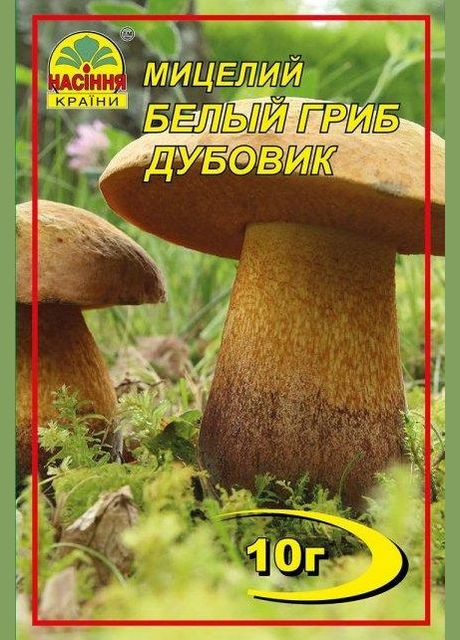 Білий гриб Дубовик 10 г Насіння країни (328607106)