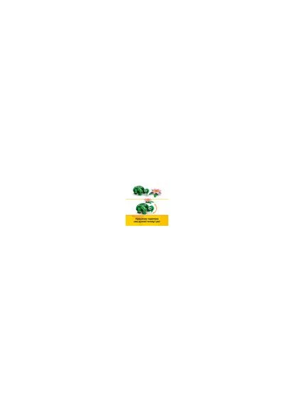 Конструктор Creator Черепаха з квіткою водяної лілії (31377) Lego (375030489)